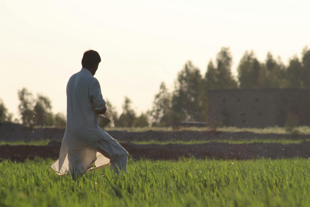 KMU in Sachsen Anhalt nutzen Fördermittel für Digitalisierung und Investitionen.