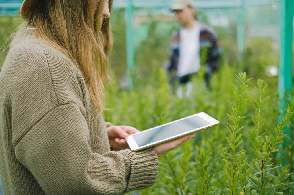 KMU in Sachsen-Anhalt nutzen Fördermittel für Digitalisierung und Nachhaltigkeit.
